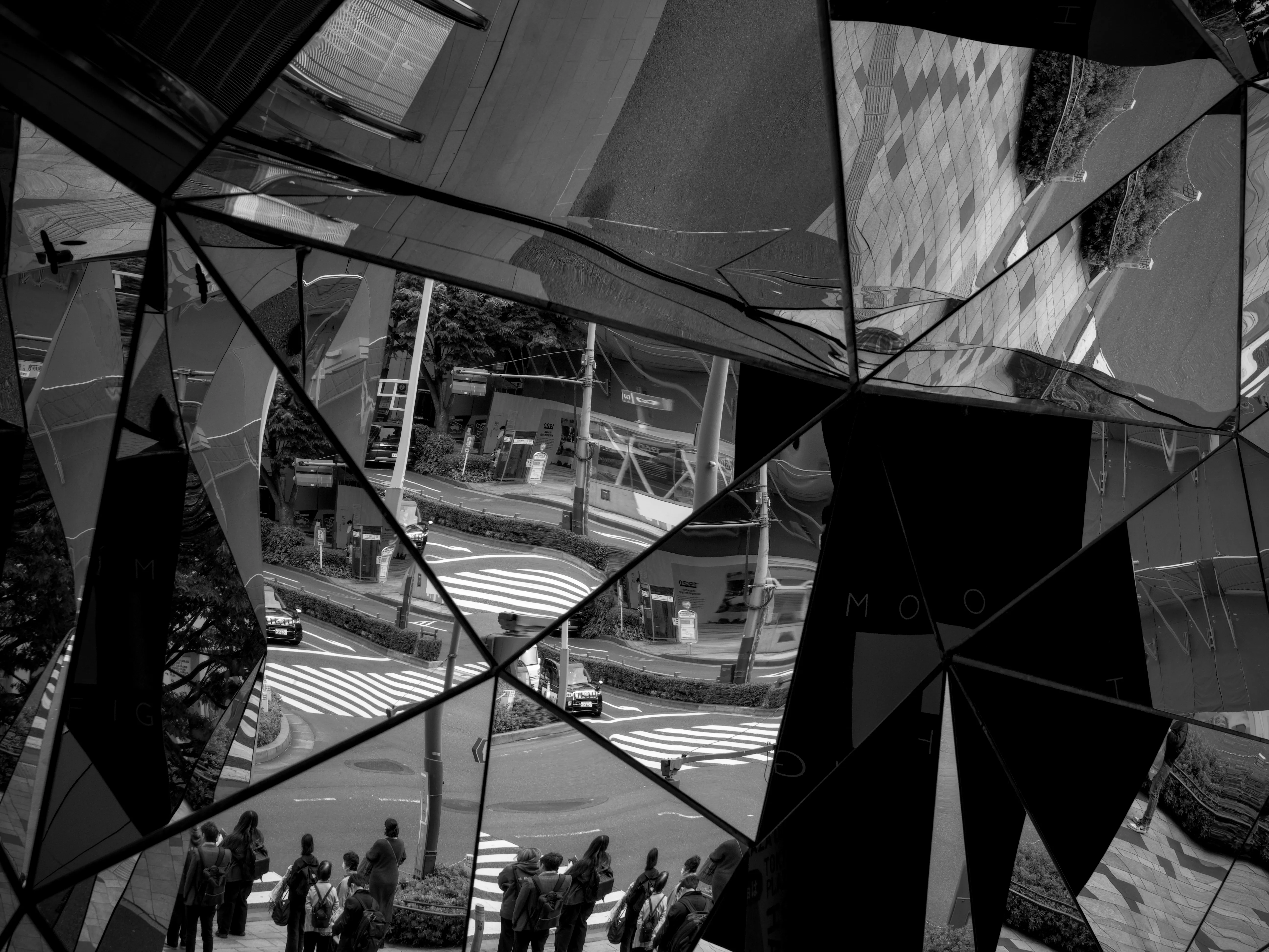 Black & White Gallery - Picture 6